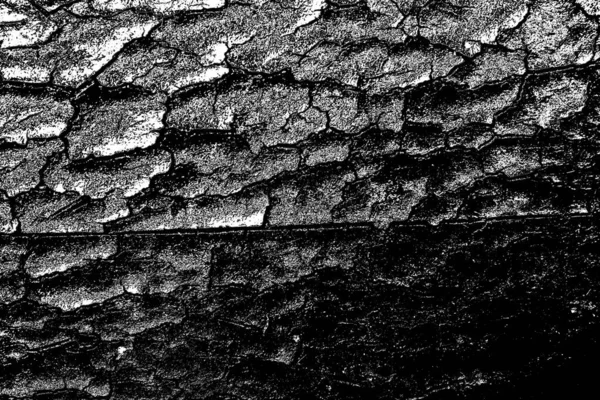 Fondo Abstracto Textura Monocromática Fondo Texturizado Blanco Negro —  Fotos de Stock