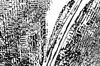 Soyut arkaplan. Monokrom dokusu. Siyah ve beyaz desenli arkaplan. 