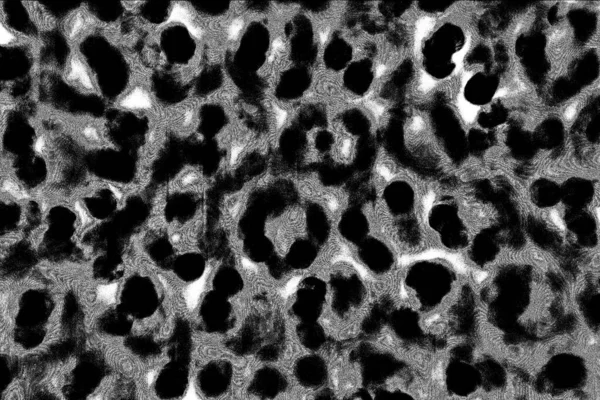 Абстрактный Фон Монохромная Текстура Черно Белый Текстурированный Фон — стоковое фото