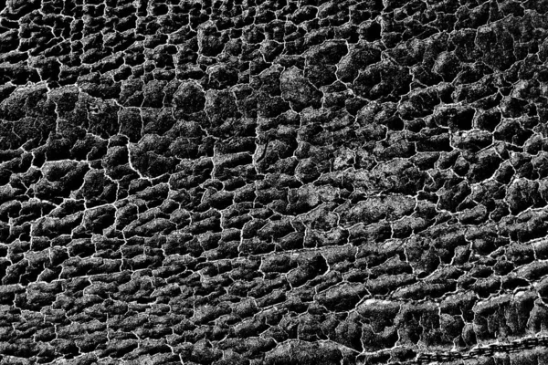 Fundo Abstrato Textura Monocromática Preto Branco Texturizado Fundo — Fotografia de Stock