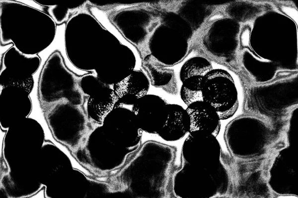 Абстрактный Фон Монохромная Текстура Черно Белый Текстурированный Фон — стоковое фото