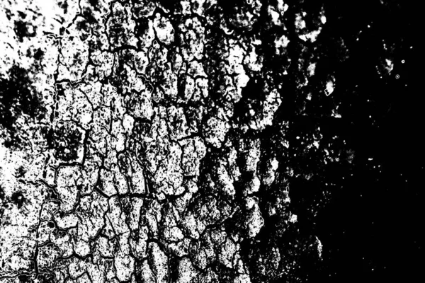 Sfondo Astratto Struttura Monocromatica Bianco Nero Sfondo Strutturato — Foto Stock