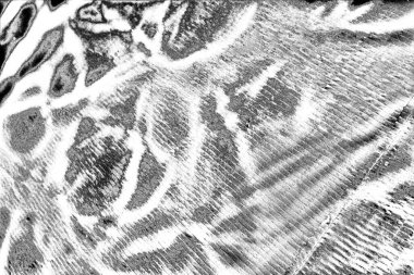 soyut siyah ve beyaz desenli arkaplan