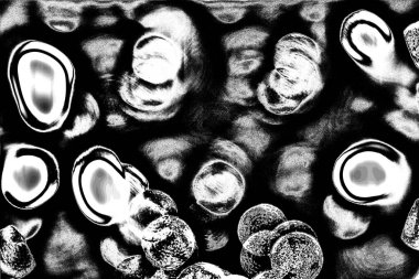 Soyut arkaplan. Monokrom dokusu. Siyah ve beyaz desenli arkaplan. 