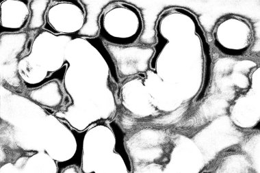 soyut siyah ve beyaz desenli arkaplan