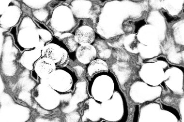 Soyut arkaplan. Monokrom dokusu. Siyah ve beyaz desenli arkaplan. 
