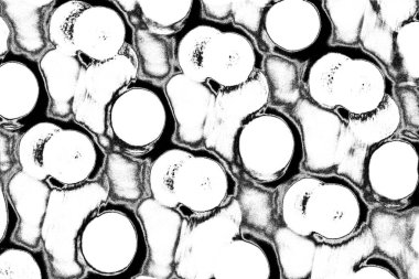 soyut siyah ve beyaz desenli arkaplan