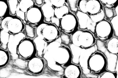 soyut siyah ve beyaz desenli arkaplan