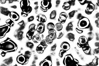 Soyut arkaplan. Monokrom dokusu. Siyah ve beyaz desenli arkaplan. 