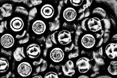 Soyut arkaplan. Monokrom dokusu. Siyah ve beyaz desenli arkaplan. 