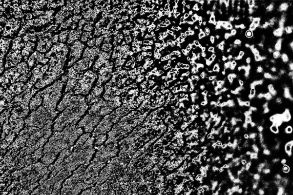 Fondo Abstracto Textura Monocromática Fondo Texturizado Blanco Negro —  Fotos de Stock