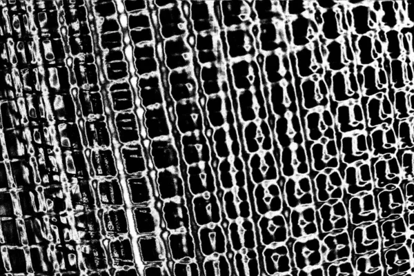 Abstract Background Monochrome Texture Black White Textured Background — Stock Photo, Image