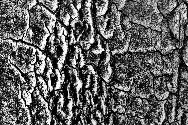 Contexte Abstrait Texture Monochrome Fond Texturé Noir Blanc — Photo