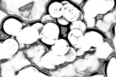 Soyut arkaplan. Monokrom dokusu. Siyah ve beyaz desenli arkaplan. 