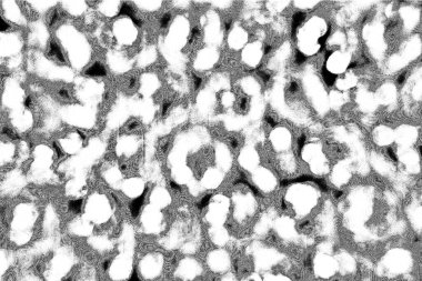 Soyut arkaplan. Monokrom dokusu. Siyah ve beyaz desenli arkaplan. 