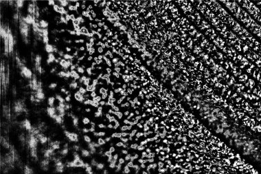 Soyut arkaplan. Monokrom dokusu. Siyah ve beyaz desenli arkaplan. 