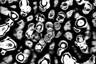 Soyut arkaplan. Monokrom dokusu. Siyah ve beyaz desenli arkaplan. 