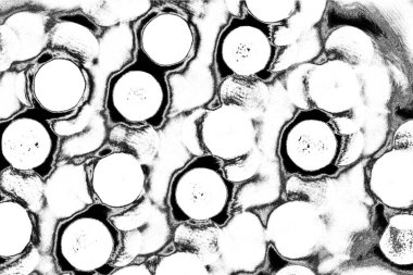 soyut siyah ve beyaz desenli arkaplan