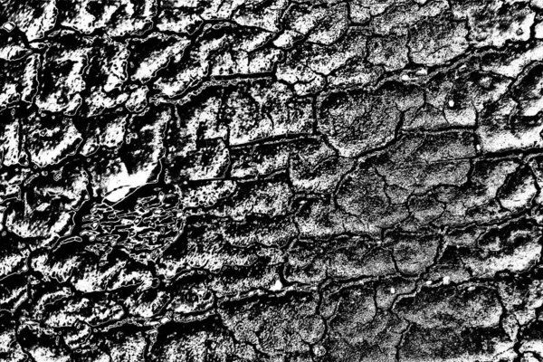 Fondo Abstracto Textura Monocromática Fondo Texturizado Blanco Negro —  Fotos de Stock