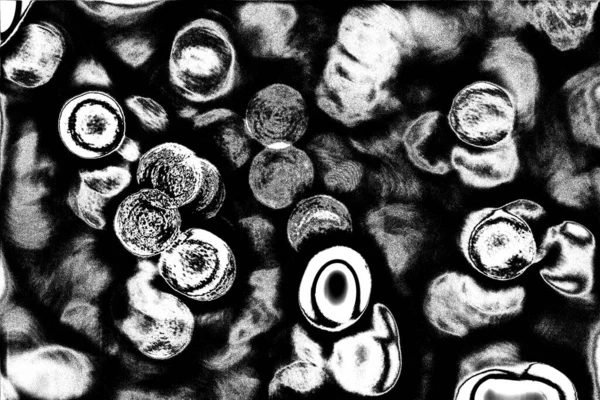 Абстрактный Фон Монохромная Текстура Черно Белый Текстурированный Фон — стоковое фото