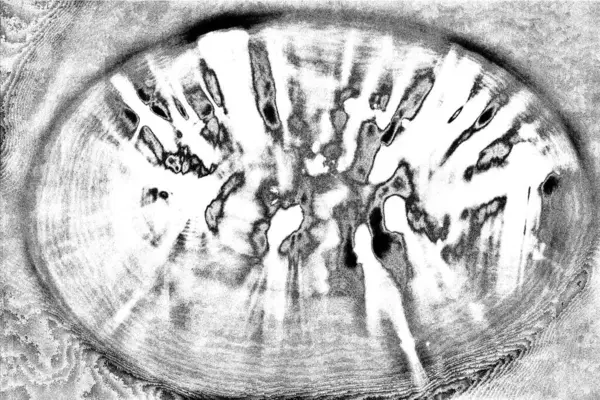 Абстрактный Фон Монохромная Текстура Черно Белый Текстурированный Фон — стоковое фото