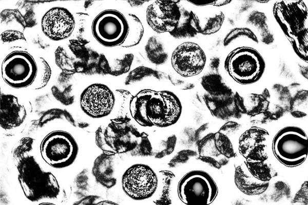 Абстрактный Черно Белый Текстурированный Фон — стоковое фото