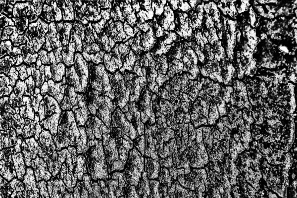 Fondo Abstracto Textura Monocromática Fondo Texturizado Blanco Negro —  Fotos de Stock