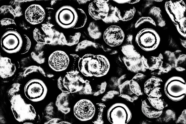 Abstrakt Bakgrund Monokrom Konsistens Svart Och Vit Strukturerad Bakgrund — Stockfoto