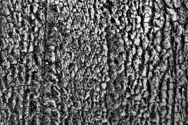 Contexte Abstrait Texture Monochrome Fond Texturé Noir Blanc — Photo