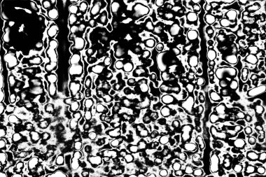 Soyut arkaplan. Monokrom dokusu. Siyah ve beyaz desenli arkaplan. 