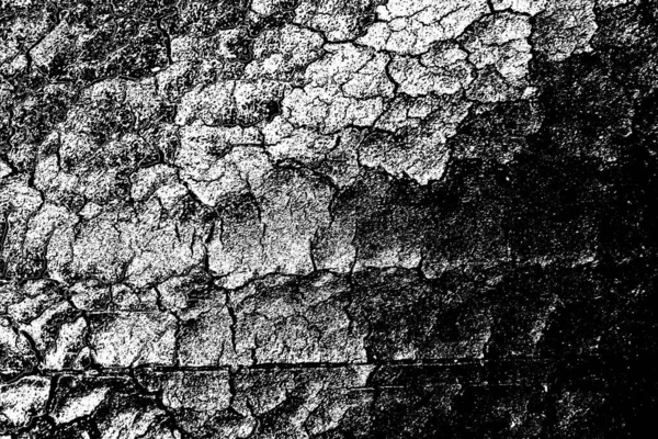 Fondo Abstracto Textura Monocromática Fondo Texturizado Blanco Negro —  Fotos de Stock