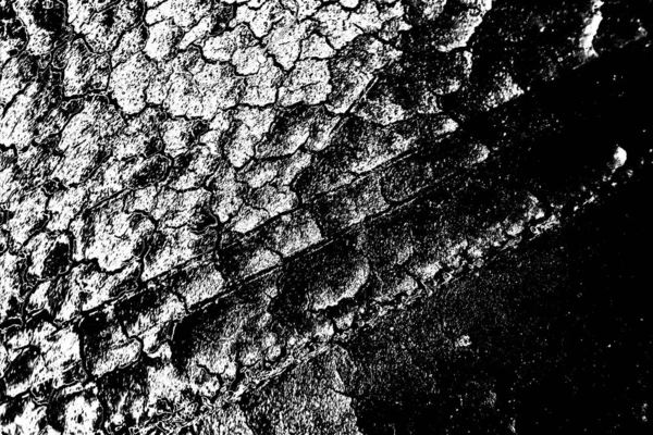 Contexte Abstrait Texture Monochrome Fond Texturé Noir Blanc — Photo