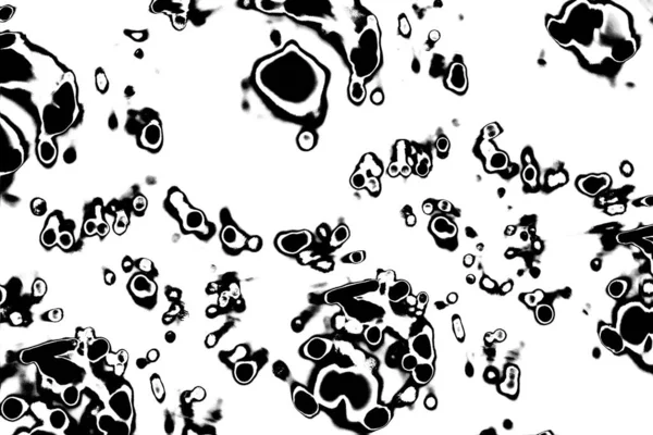 Soyut arkaplan. Monokrom dokusu. Siyah ve beyaz desenli arkaplan. 