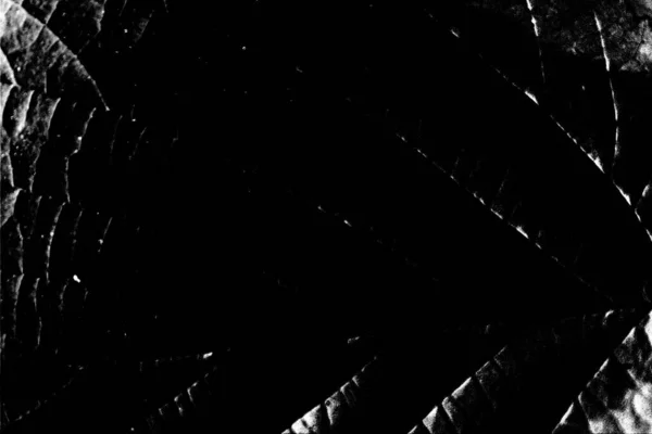 Fundo Abstrato Textura Monocromática Preto Branco Texturizado Fundo — Fotografia de Stock