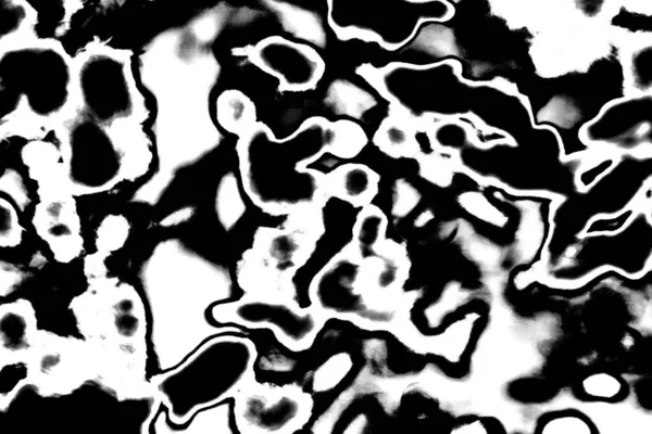 Absztrakt Háttér Monokróm Textúra Fekete Fehér Texturált Háttér — Stock Fotó