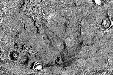 Soyut arkaplan. Monokrom dokusu. Siyah ve beyaz desenli arkaplan. 