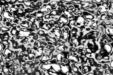 Soyut arkaplan. Monokrom dokusu. Siyah ve beyaz desenli arkaplan. 