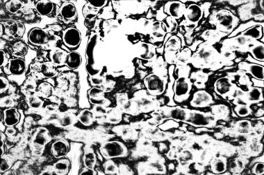 Soyut arkaplan. Monokrom dokusu. Siyah ve beyaz desenli arkaplan. 