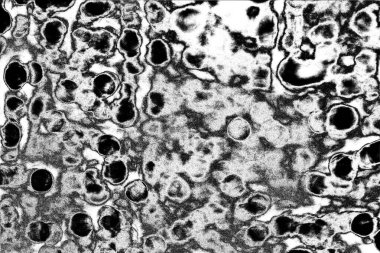Soyut arkaplan. Monokrom dokusu. Siyah ve beyaz desenli arkaplan. 
