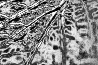 Soyut arkaplan. Monokrom dokusu. Siyah ve beyaz desenli arkaplan. 