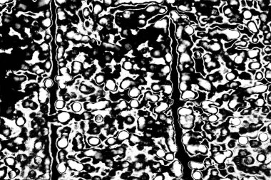 Soyut arkaplan. Monokrom dokusu. Siyah ve beyaz desenli arkaplan. 