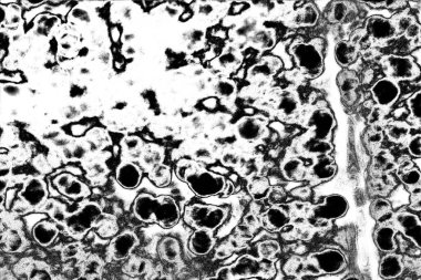 Soyut arkaplan. Monokrom dokusu. Siyah ve beyaz desenli arkaplan. 