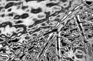 Soyut arkaplan. Monokrom dokusu. Siyah ve beyaz desenli arkaplan. 