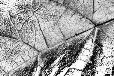 Soyut arkaplan. Monokrom dokusu. Siyah ve beyaz desenli arkaplan. 