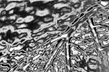 Soyut arkaplan. Monokrom dokusu. Siyah ve beyaz desenli arkaplan. 