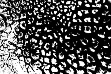 Soyut arkaplan. Monokrom dokusu. Siyah ve beyaz desenli arkaplan. 