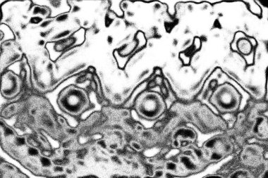 Soyut arkaplan. Monokrom dokusu. Siyah ve beyaz desenli arkaplan. 