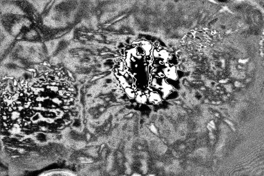 Soyut arkaplan. Monokrom dokusu. Siyah ve beyaz desenli arkaplan. 