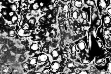 Soyut arkaplan. Monokrom dokusu. Siyah ve beyaz desenli arkaplan. 