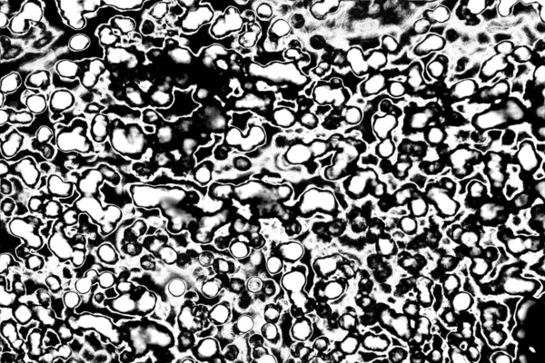 Fundo Abstrato Textura Monocromática Preto Branco Texturizado Fundo — Fotografia de Stock